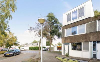 Haagbeemd 21