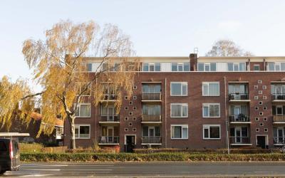 Jeroen Bosc. 159