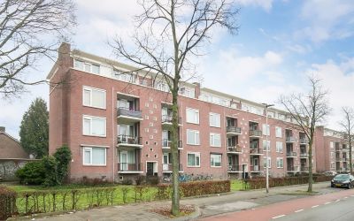 Jeroen Bosc. 213