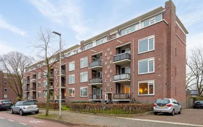 Jeroen Bosc. 227