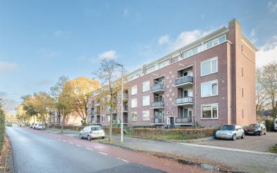 Jeroen Bosc. 239