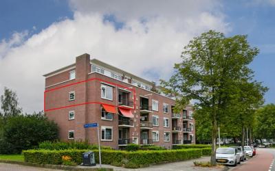 Jeroen Bosc. 249