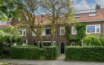 Boerhaavela. 21