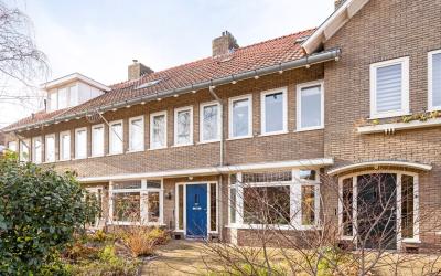Boerhaavela. 52