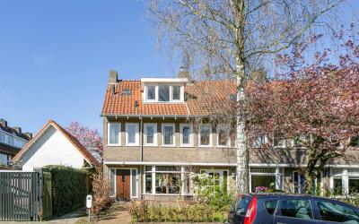 Boerhaavela. 56