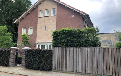 Boerhaavela. 78