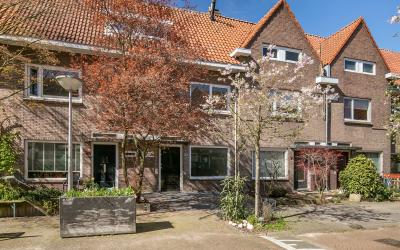 Wilgenrooss. 22