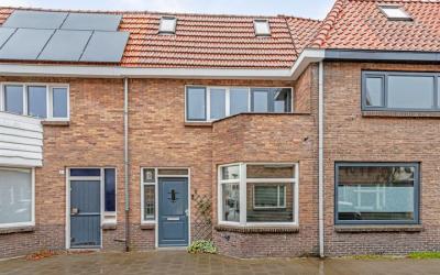 Goudenregen. 6