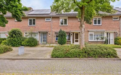 Levylaan 19