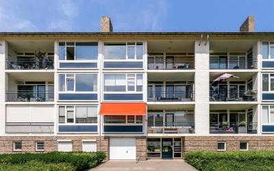 Welschapsed. 101