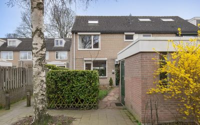 Wamberg 48