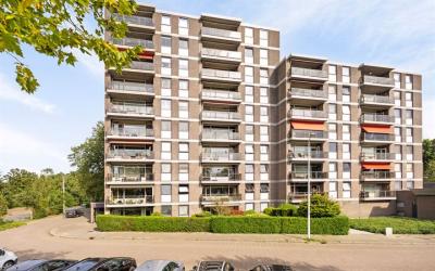 Kastelenple. 54