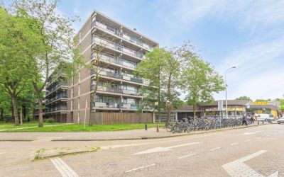 Kastelenple. 115