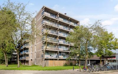 Kastelenple. 137