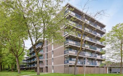 Kastelenple. 161