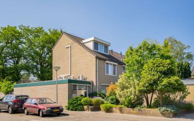Zuidewijn 1