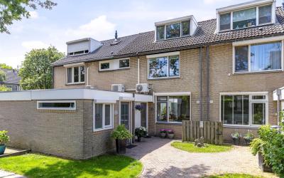 Zuidewijn 38
