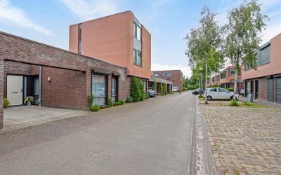 Zandkever 31