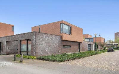 Zandkever 37