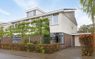 Zandzwaluw 35