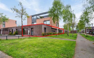 Zandhoen 11