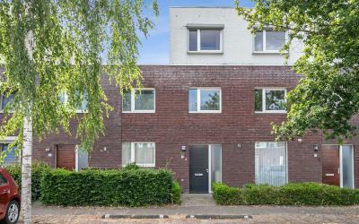 Zandroos 13