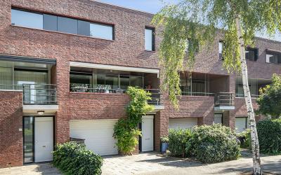 Zandbloem 38