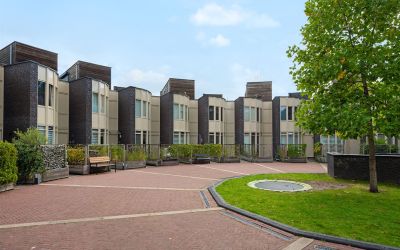 Bosleeuwerik 32