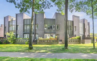 Bosleeuwerik 48