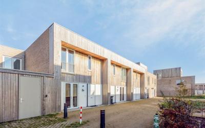Grasbloem 2-B