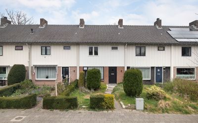 Heibeekstra. 36