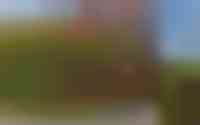 Hulst 17