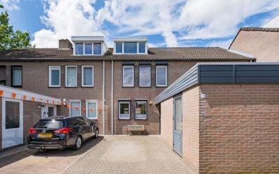 Schutsboom 16