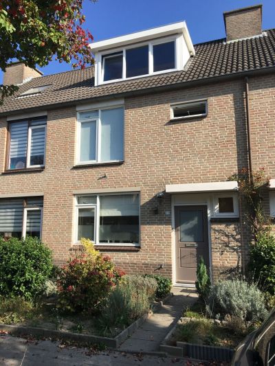 Zomerland 39