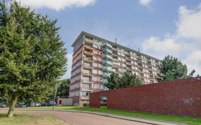 Raamveld 157