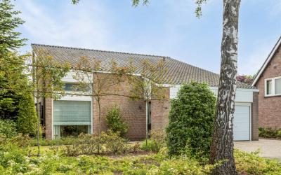 Vuurdoorn 13