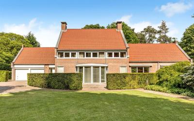 Haagdoorn 11