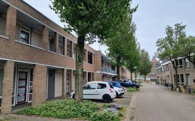 Pessershof 19