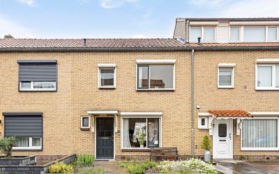 Katoenstraat 8