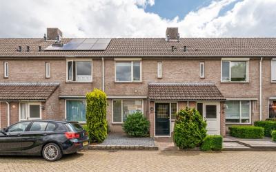 Berkenbos 33