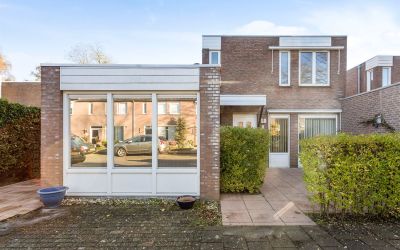 Zilvermeeuw. 1