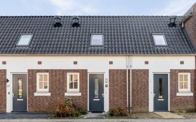 Drieloper 29