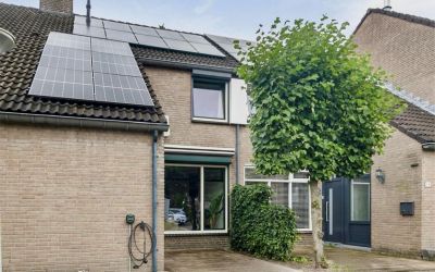 Vliegeren 15
