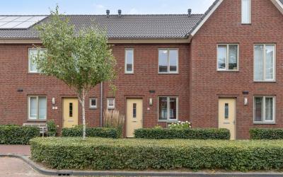 Tamboer 15