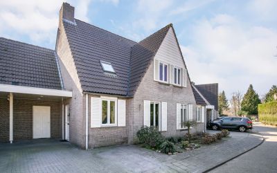 Korenbloem 3
