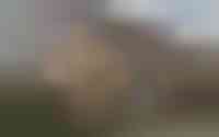 Melde 30