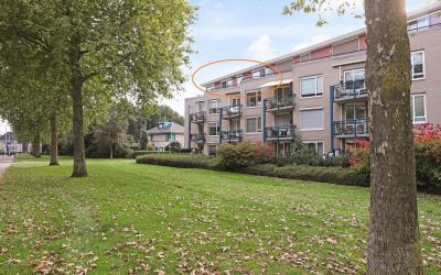 Kuiltjeshei 55