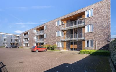 Moorland 54