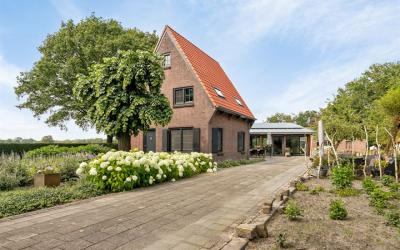 Eindhovense. 29