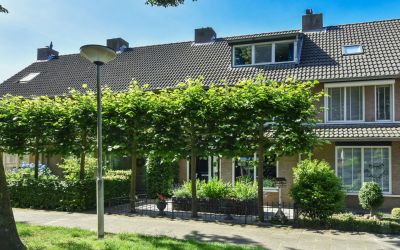 Haverhof 5